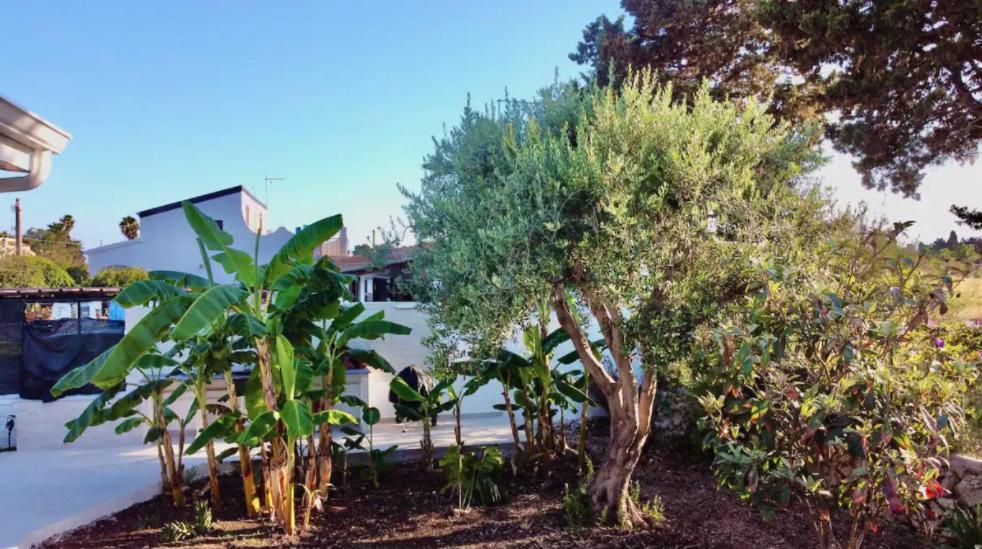Villa Mare Blue Sr Nuovissima Villa 150M Dal Mare Adatta A Bambini Terrauzza Eksteriør billede